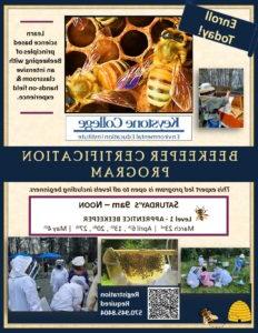 Beekeeping Cert Program Flyer DESIGNS 2024a